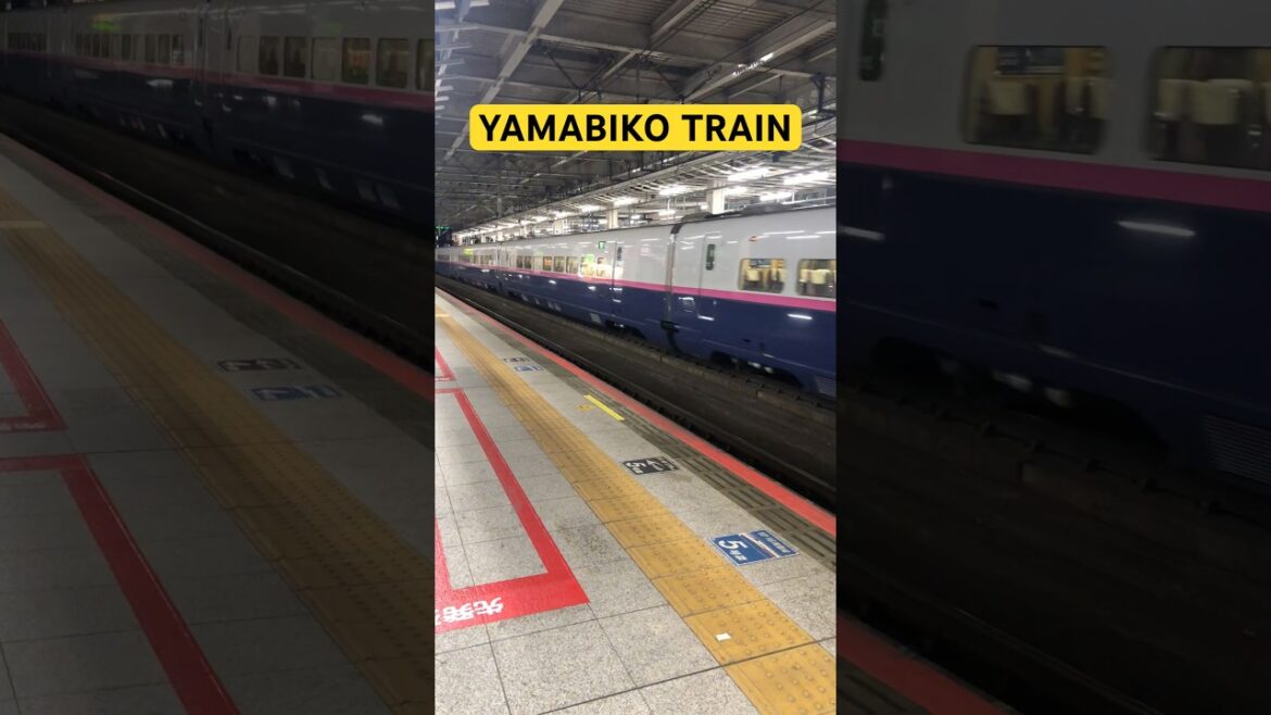 YAMABIKO TRAIN #shorts