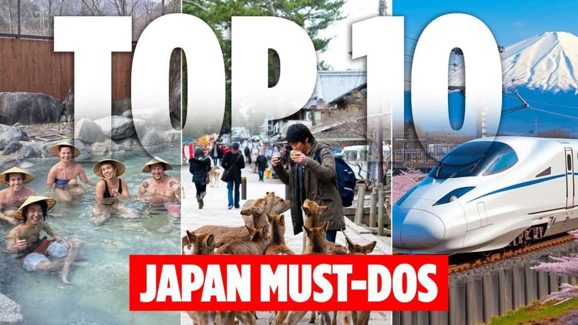 From Temples to Sushi: Japan’s Best Activities to Try From Temples to Sushi: Japan’s Best Activities to Try