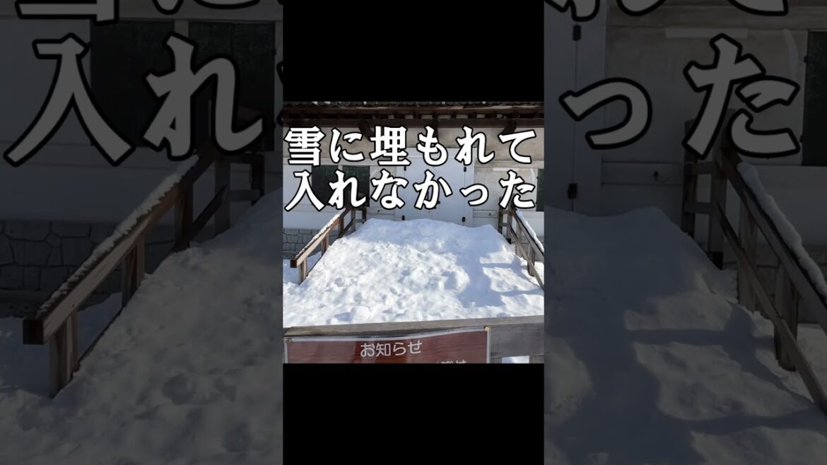 ずとまよ秋田公演のついでに弘前城に行ってきた