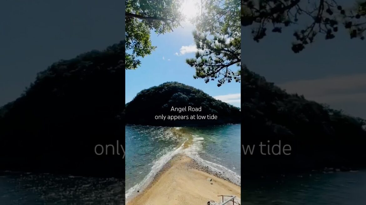 📍Shōdoshima 🏝️| Angel Road| Japan 🇯🇵 #travel #shorts #ytshorts #sea