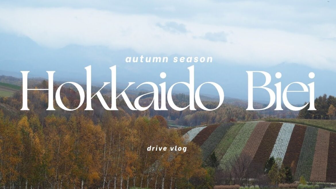 秋を巡る(北海道　美瑛　青い池　ケンとメリーの木　四季彩の丘　）