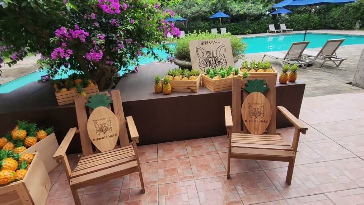 Hoshino Resorts Iriomote Hotel 星野リゾート 西表島ホテル Iriomote Island Okinawa Japan 西表島 沖縄 日本