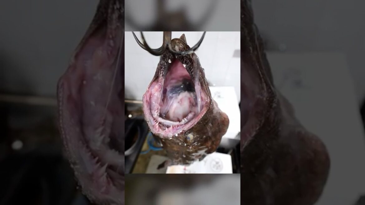 The ONLY Monkfish Restaurant in Tokyo