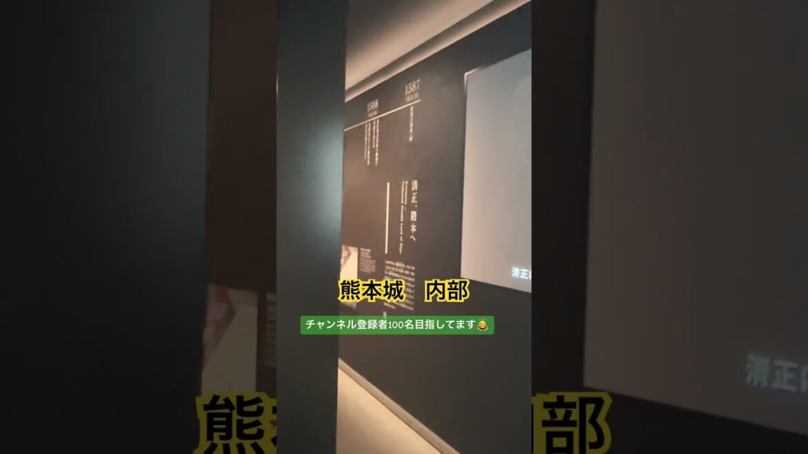 【熊本城】traditional Japanese castle熊本城ライトアップに行ってみた🏯Part5#japan #日本 #kumamoto#熊本 #お城 #ライトアップ