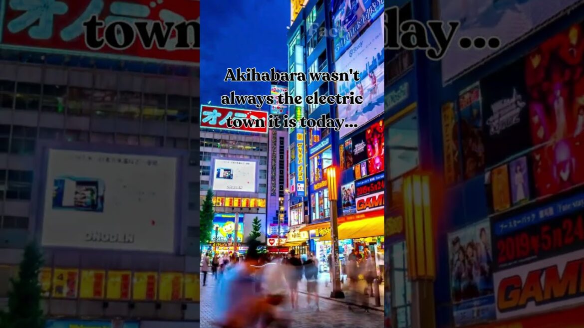 Japan : Here's Why -  Ep. 3 #akihabara #travel #japan