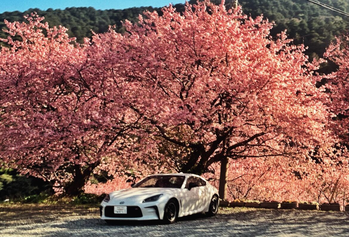 gt86 understands cherry blossom.