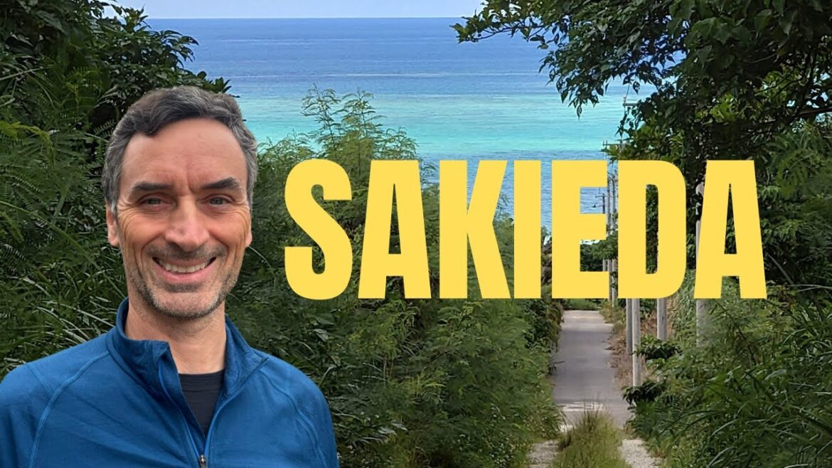 Ishigaki Island's Hidden Gem: Scenic Drive & Beach Escape