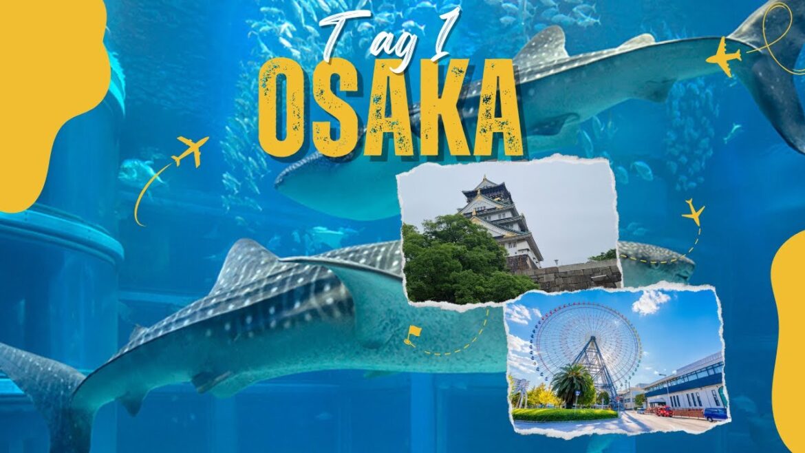 THE GAIJINS | Osaka entdecken: Castle🏰, Aquarium🐋 & 5.größte Riesenrad der Welt🎡 #japan #fyp #travel
