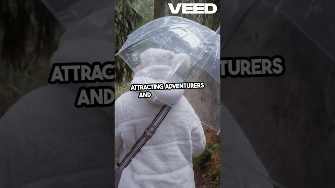 Secrets of Japan's Aokigahara Forest #japan #forest #nature #geography  #knowledge #facts