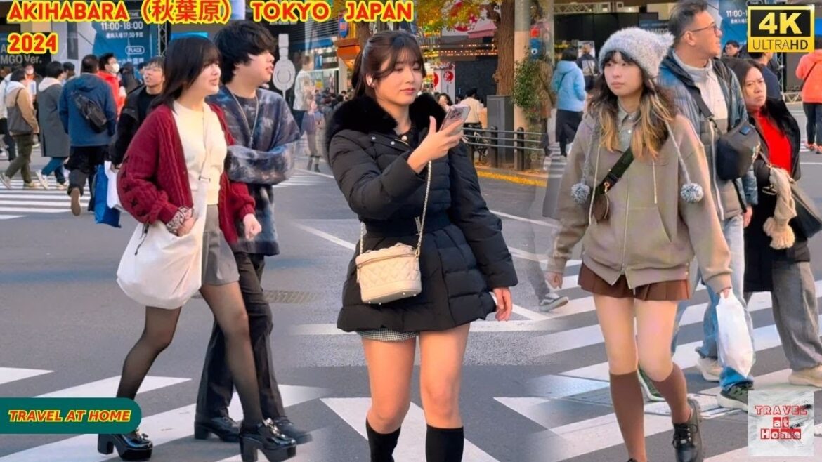 4k hdr japan travel 2024 | Walk in Akihabara(秋葉原)Tokyo Japan | Relaxing Natural City ambience 4k hdr japan travel 2024 | Walk in Akihabara(秋葉原)Tokyo Japan | Relaxing Natural City ambience