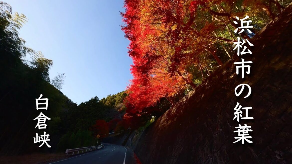 【浜松の里山】白倉峡、十二月の紅葉｜天竜区龍山町大嶺