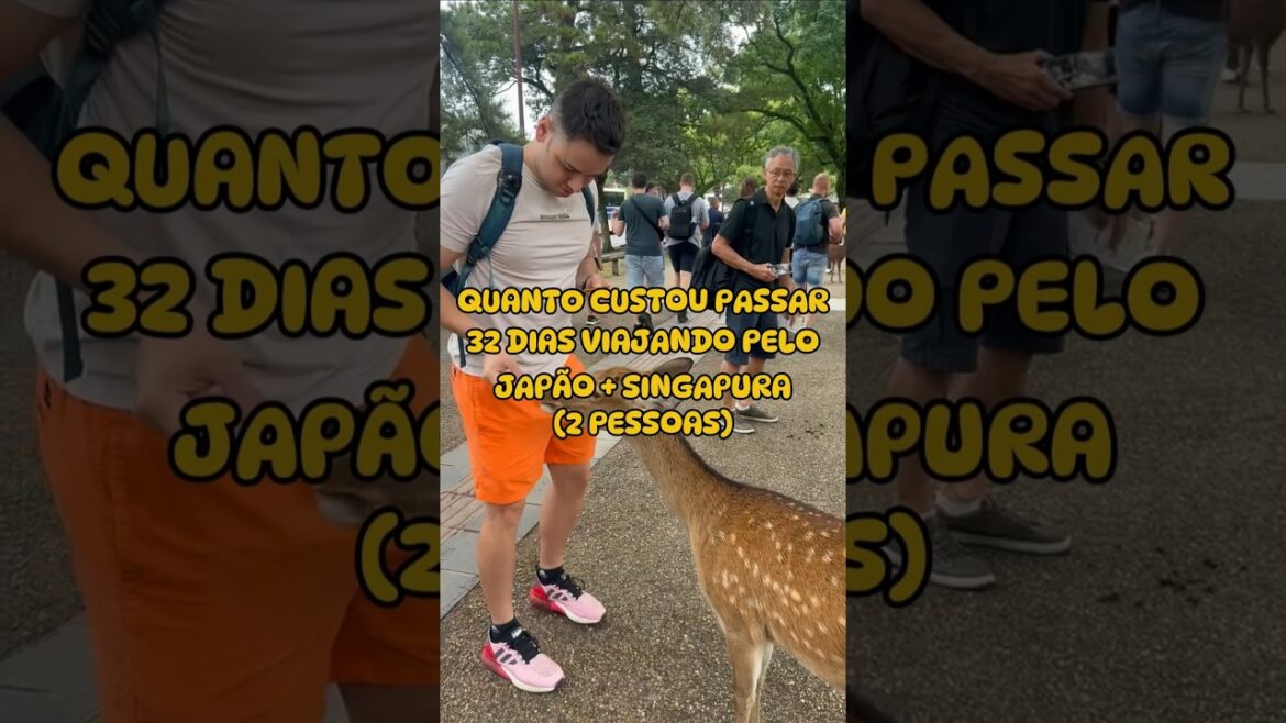 QUANTO CUSTA UMA VIAGEM PARA A ASIA DE 33 DIAS? #shorts #japao #singapura