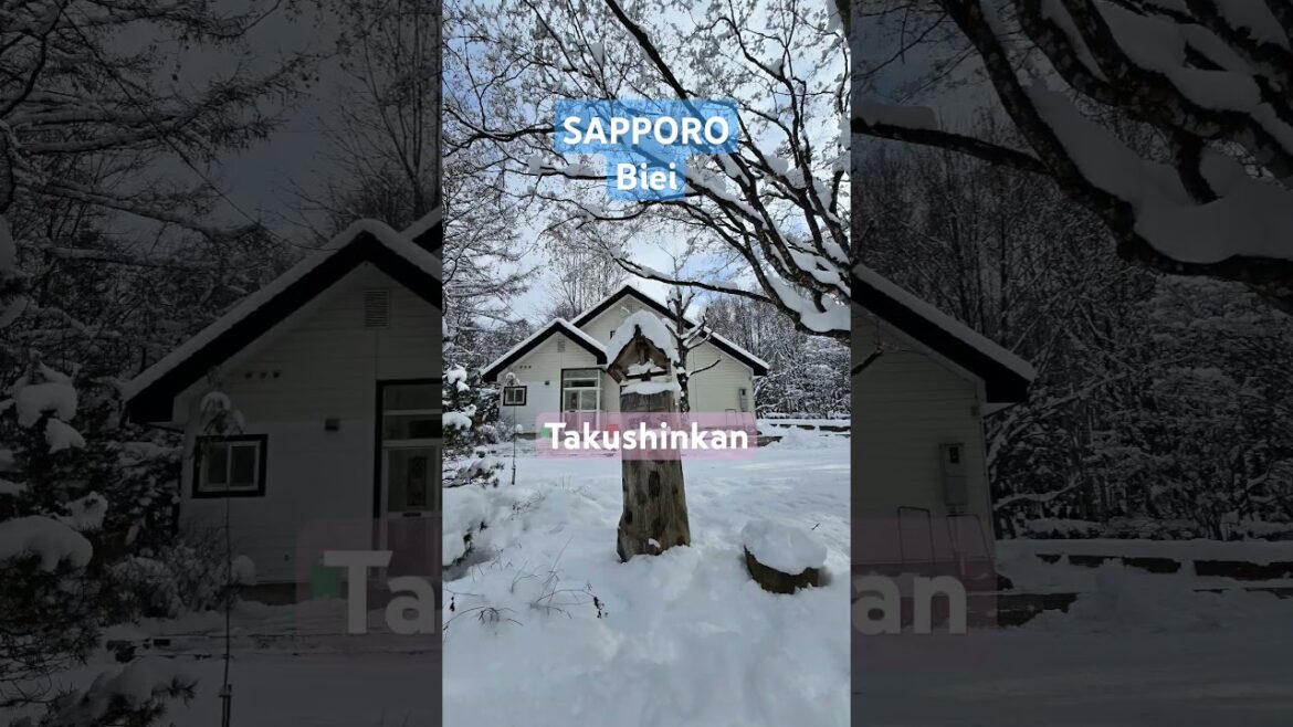 Sapporo Biei #winter trip#snow#japan #travel#삿포로#비에이#겨울여행#札幌#美瑛