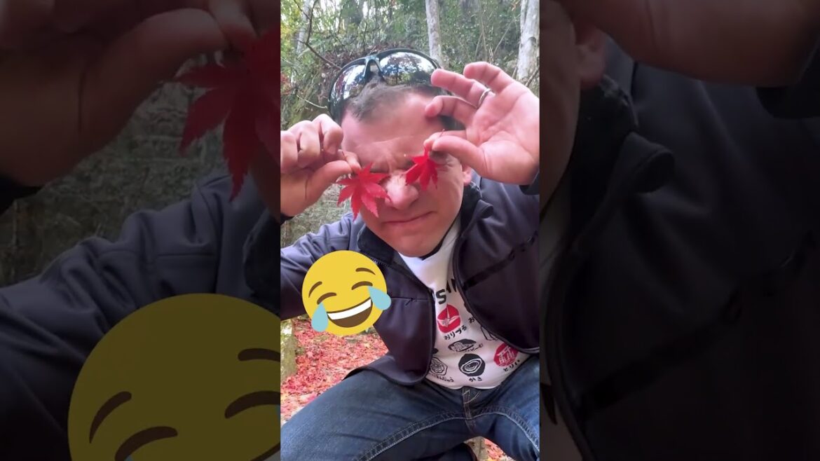 Discovered Hiroshima's HIDDEN Gem for Autumn Leaves!