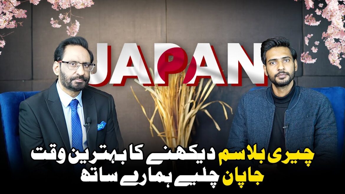 WARNING: Watching This Will Make You Book a Trip to Japan NOW!