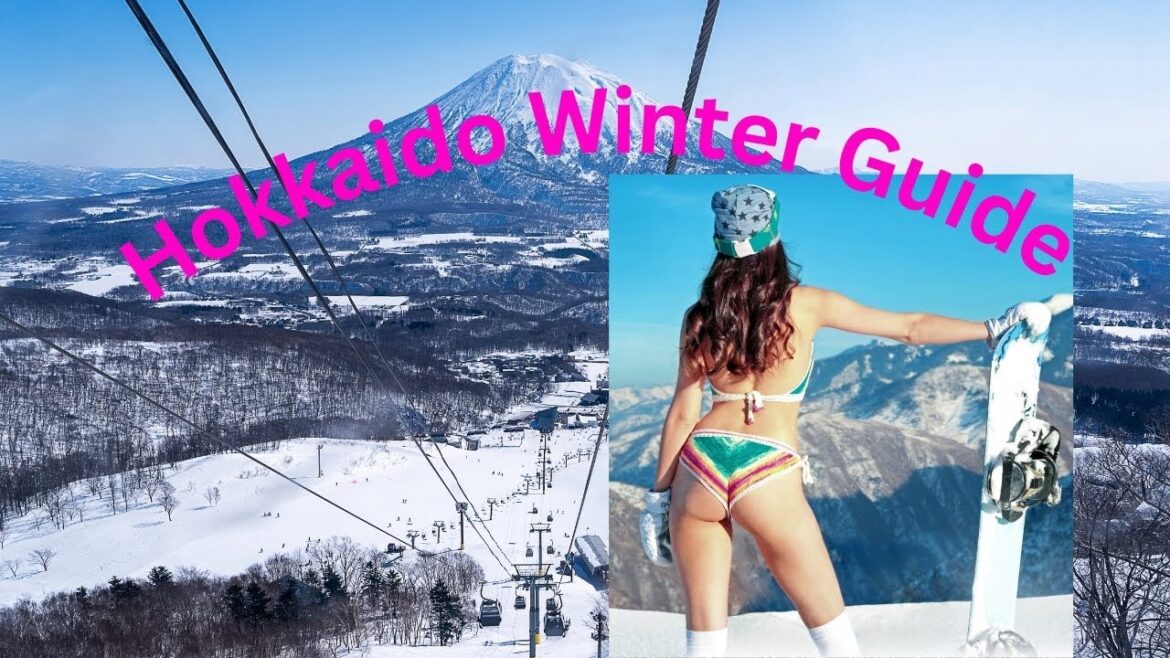 Hokkaido Winter Guide Must-See Spots!