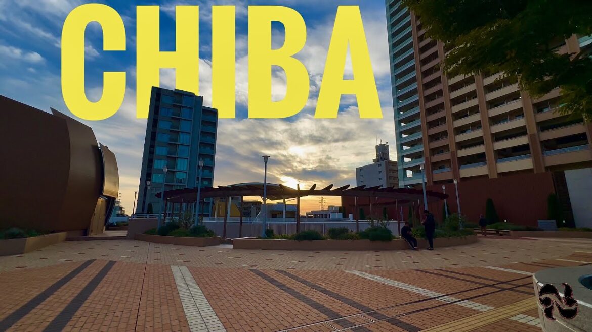 Japan, Chiba Vlog Last Day of 2024 || Nepali Blogger || Chiba || Japan Blog 2 Japan, Chiba Vlog Last Day of 2024 || Nepali Blogger || Chiba || Japan Blog 2