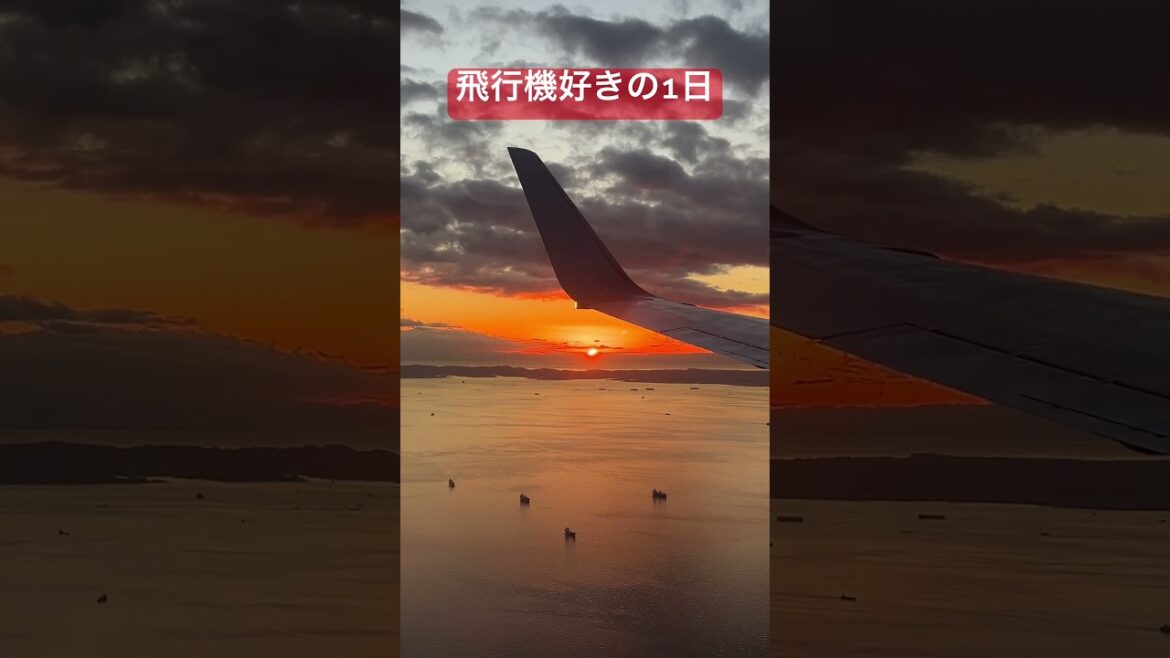 飛行機好きの一日