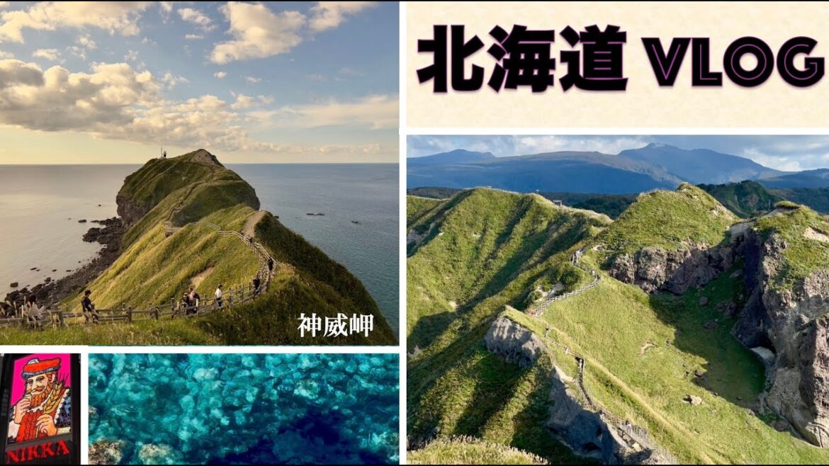 【国内旅行】北海道Vlog おすすめ観光地 札幌/小樽/余市/旭川/美瑛/富良野