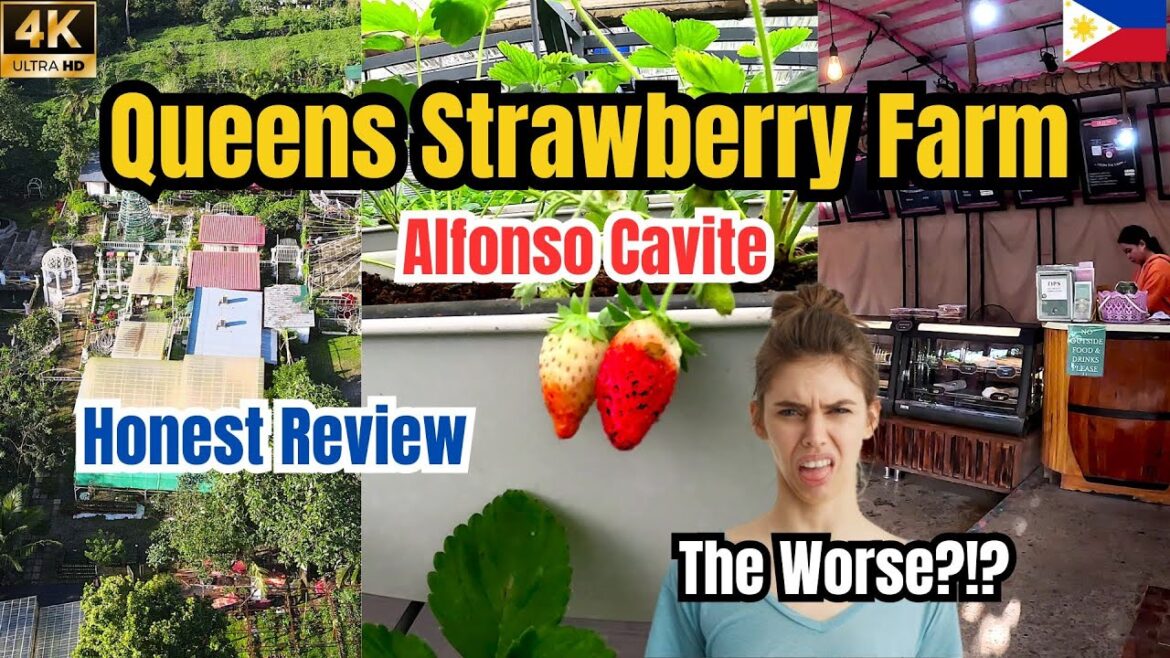 Queens Strawberry Farm: Hidden Gem or Overrated? My Honest Review!