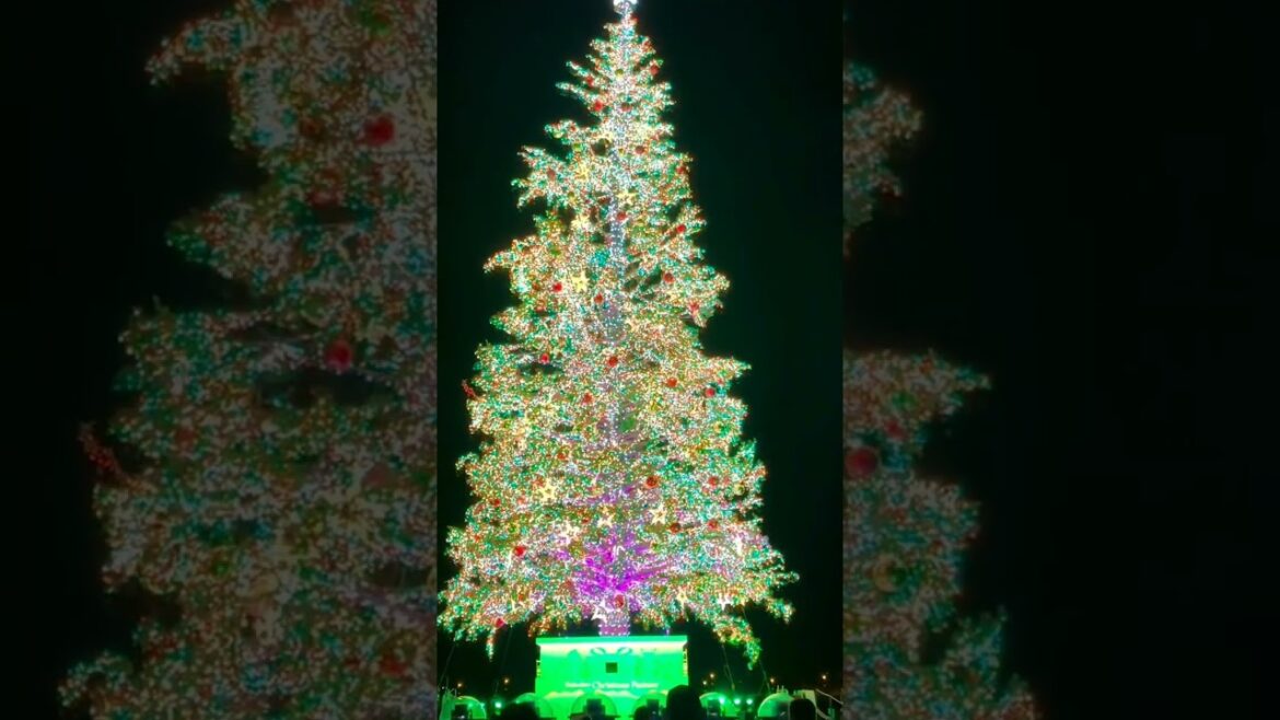 Wisata Hakodate Jepang. Destination Hakodate Japan