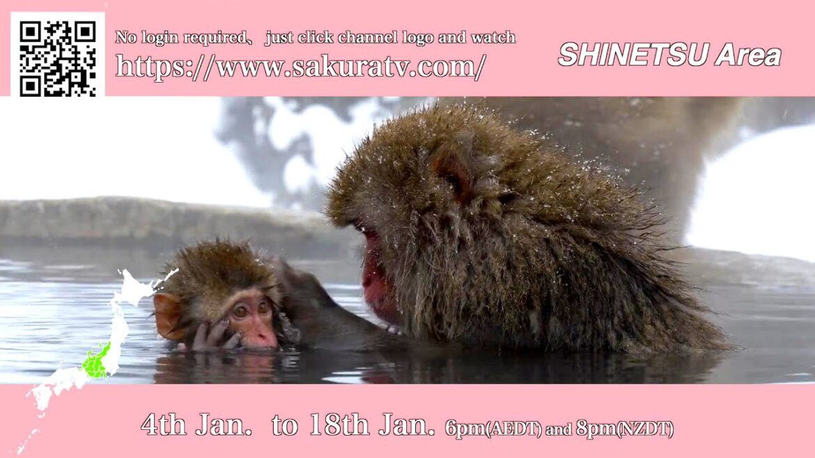 A Journey Through the Heart of Japan: Niigata, Nagano, Toyama, and Yamanashi will be on Sakura TV A Journey Through the Heart of Japan: Niigata, Nagano, Toyama, and Yamanashi will be on Sakura TV