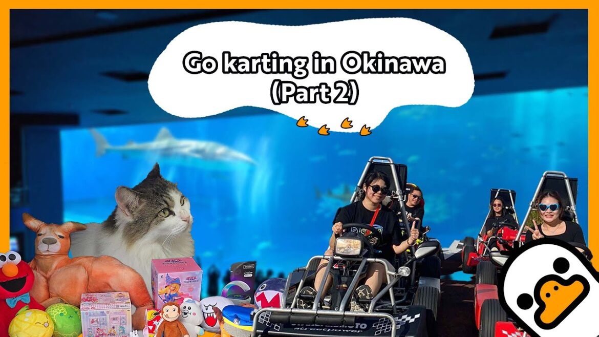 5 more days left in Okinawa, Japan (PART 2) | Keep Wandering Ep 10