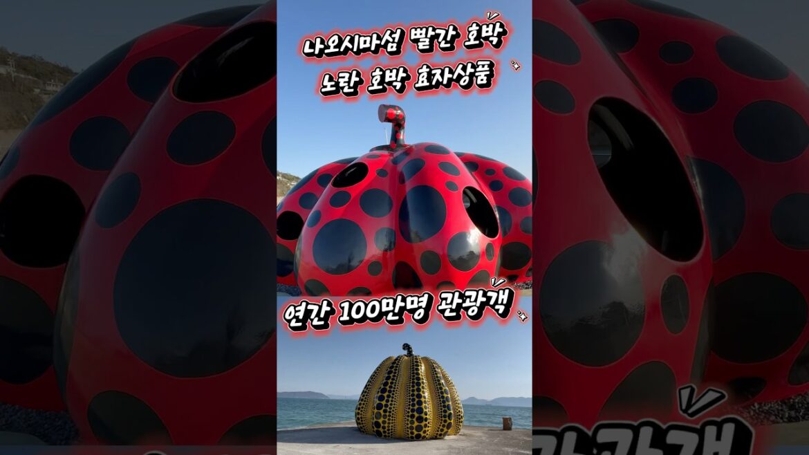 호박 두개로 연간 100만명 끌어 모으는 특이한 섬? #나오시마, #노란호박, #빨간호박, #쿠사마야요이