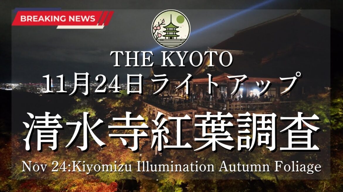【速報】11月24日(日)の清水寺のライトアップの紅葉状況！京都の紅葉状況を世界最速でお届け！