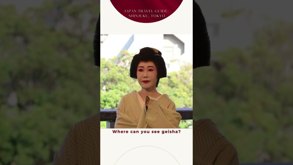 Where can I see geisha?: Tokyo Travel Secrets Only EXPERTS Know 7 Where can I see geisha?: Tokyo Travel Secrets Only EXPERTS Know 7