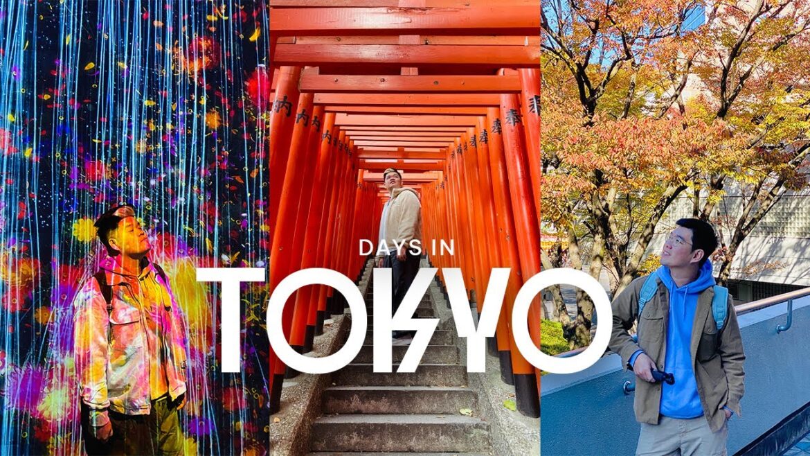 Tokyo vlog | Tụi mình đi đâu chơi lần đầu đến Nhật mùa thu lá đỏ 🍁 teamLab, Ginza & Hie Shrine Tokyo vlog | Tụi mình đi đâu chơi lần đầu đến Nhật mùa thu lá đỏ 🍁 teamLab, Ginza & Hie Shrine