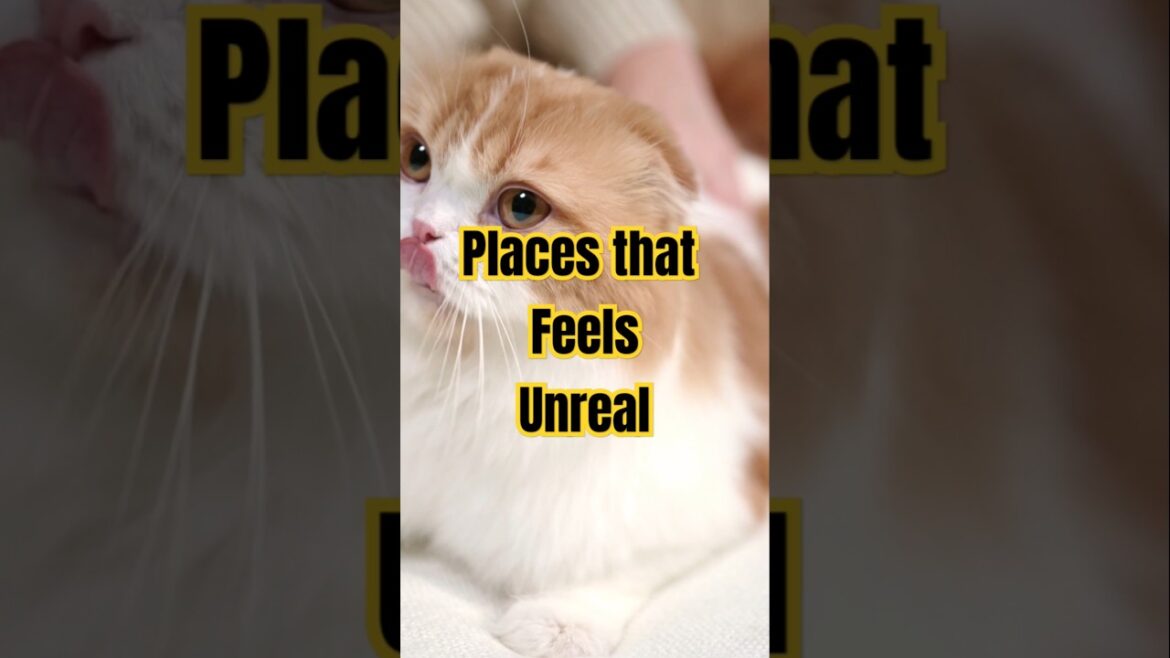 Destinations that you need to visit!!! #nature #adventure #travel #shorts