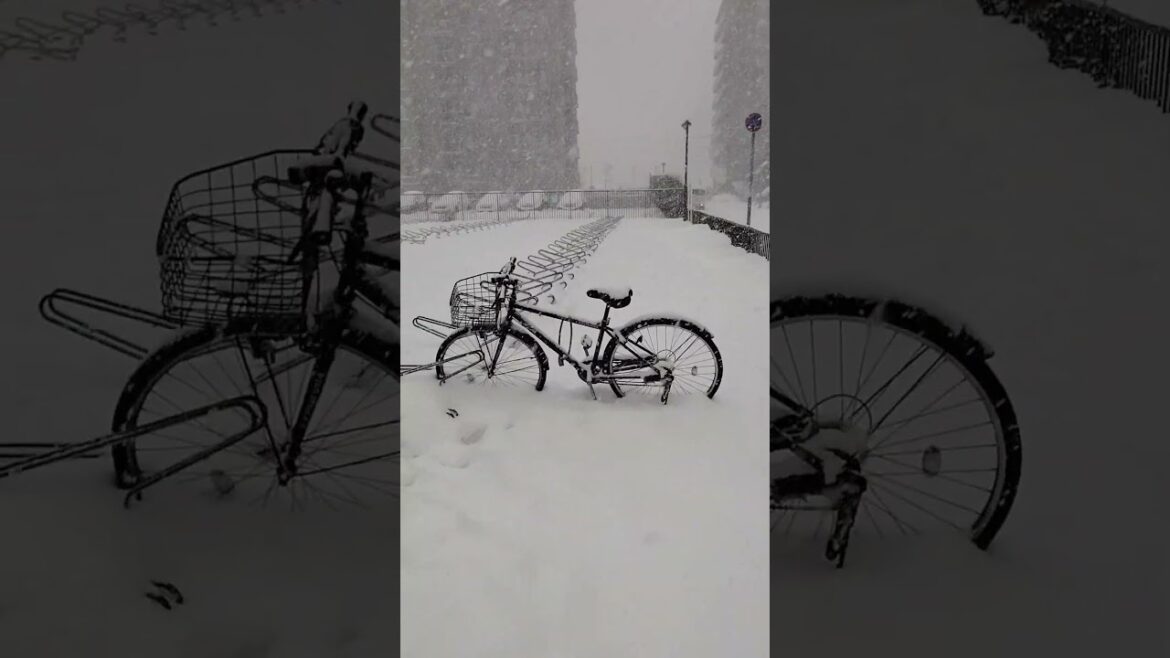 Walking during heavy snowfall in Hokkaido. Tranquil calming snowfall in Japan #hokkaido #sapporo Walking during heavy snowfall in Hokkaido. Tranquil calming snowfall in Japan #hokkaido #sapporo