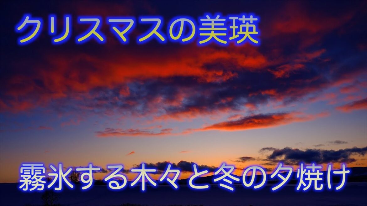 美瑛の丘をめぐる旅～2024クリスマス編～初日