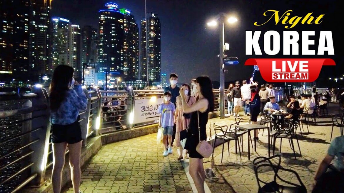 Live Busan Korea π°π· 2025 Happy New Year Festival Busan Haeundae Beach Street Walking Tour ιε½γ©γ€γ Live Busan Korea π°π· 2025 Happy New Year Festival Busan Haeundae Beach Street Walking Tour ιε½γ©γ€γ