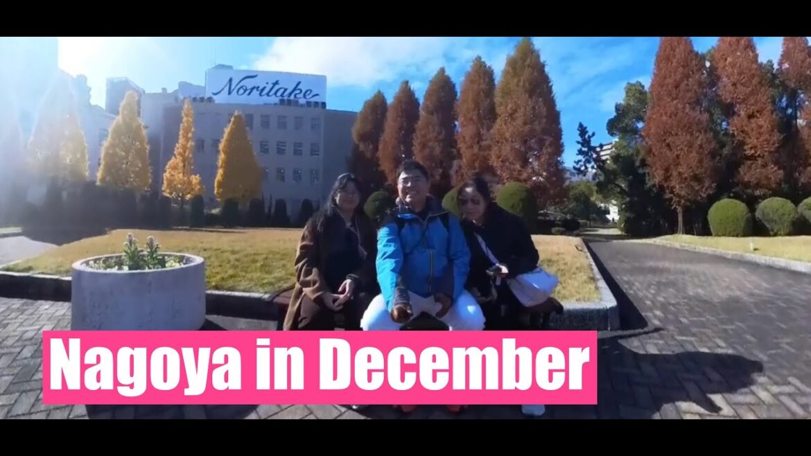 Nagoya Japan in December | Noritake Garden | Hotel S-Plus | Super Book Off Bazaar