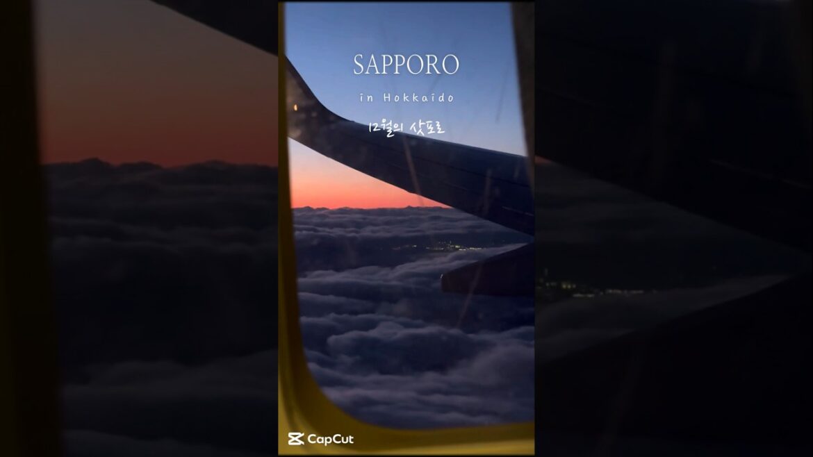 12월의 삿포로☃️