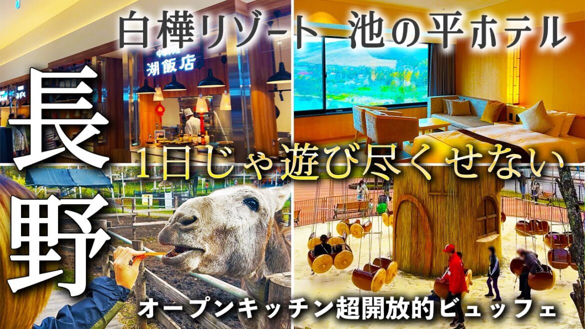 【遊びまくり】ファミリーもカップルも楽しめる白樺リゾート池の平ホテル 【遊びまくり】ファミリーもカップルも楽しめる白樺リゾート池の平ホテル