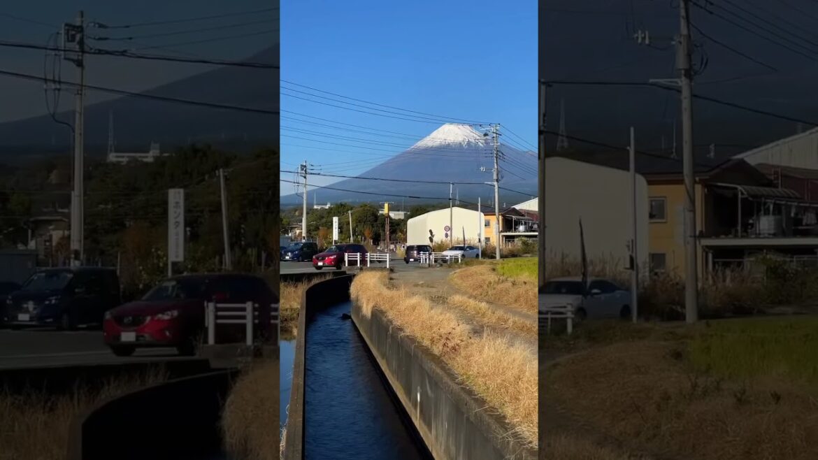 📍Shizuoka prefecture 🇯🇵 #nature #naturelovers #japan #japanese #japantravel #fuji #shizuoka