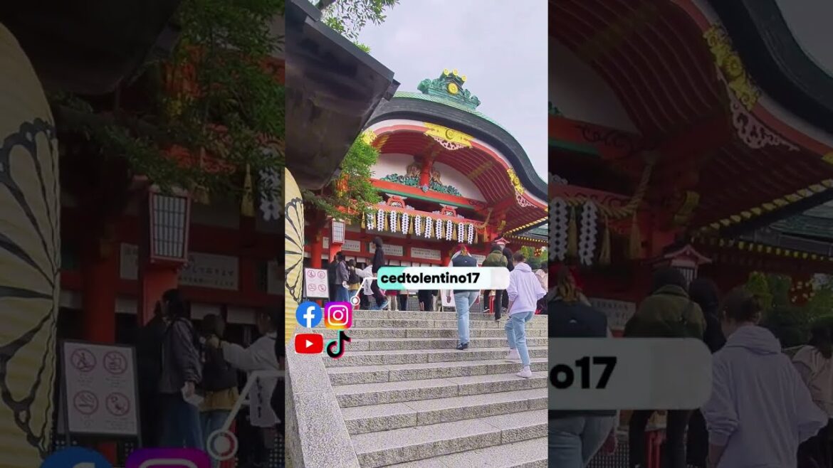 Osaka Essentials that you need to know! 👌