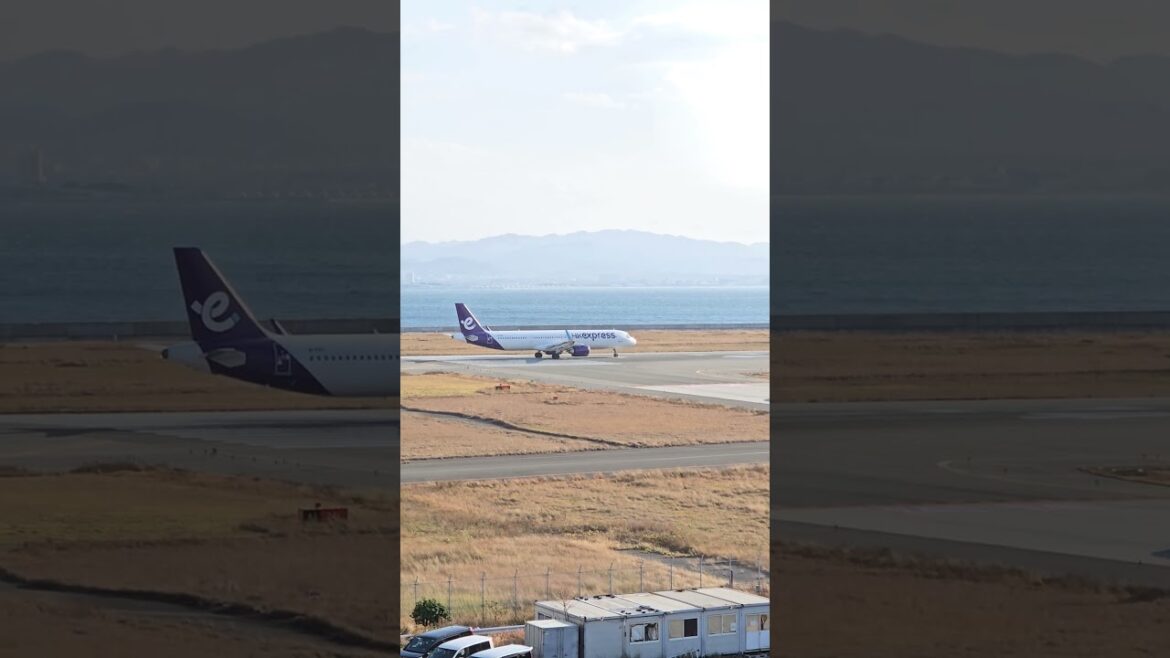 Osaka KIX Airport Planespotting Jeju  Air 737-800 #airliners #jejuair #737 #boeing 関西空港