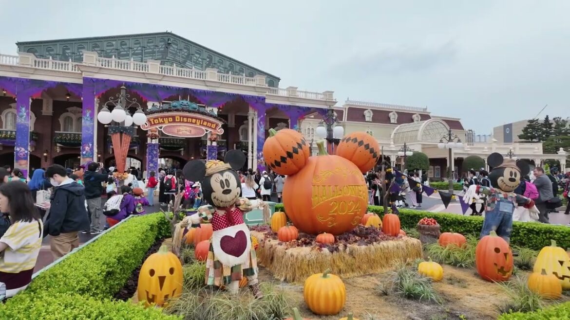 Tokyo Travel Vlog 2024: Top Highlights from My Trip (Part 1)