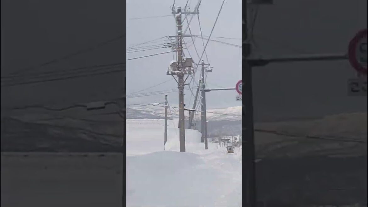 The Train Journey ends Finally Arrived in Asahikawa The Train Journey ends Finally Arrived in Asahikawa