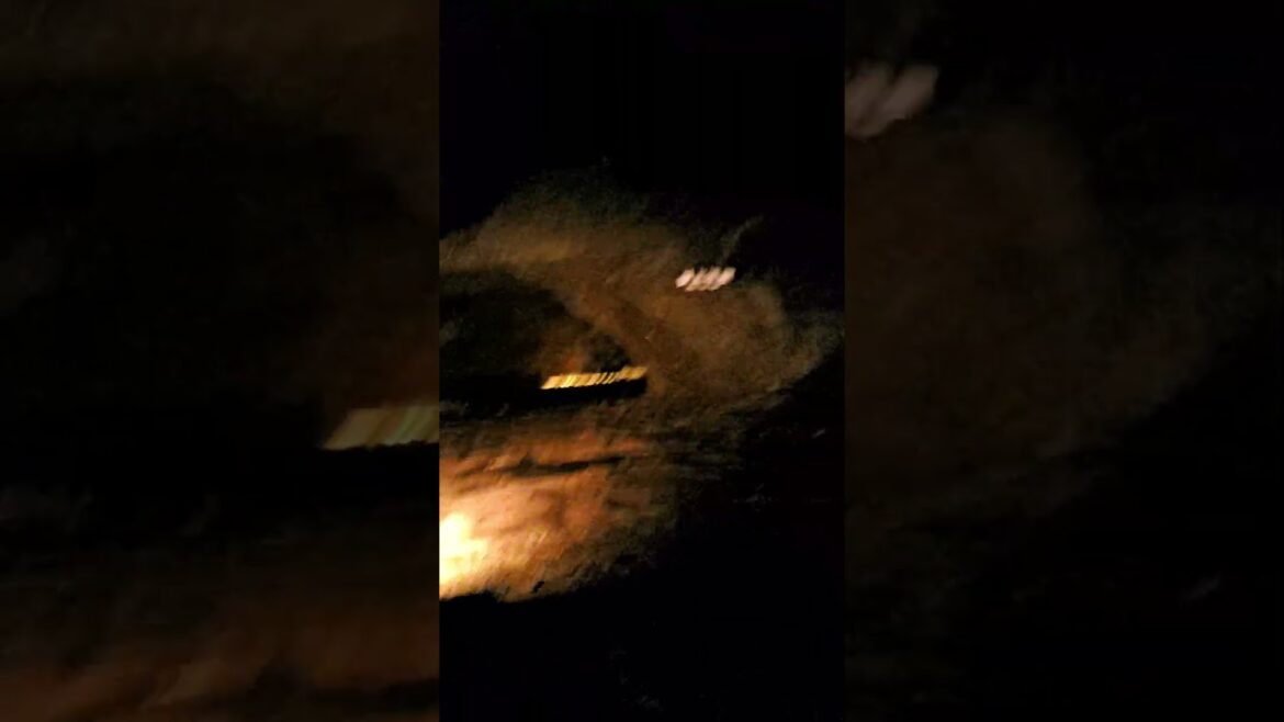 4 months in Asia - Lake Saiko Bat Cave Fuji Mount, Japan