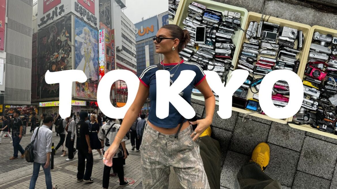 TOKYO VLOG: Shinjuku, Harajuku, Shibuya Crossing, Akihabara & where to stay + places to eat TOKYO VLOG: Shinjuku, Harajuku, Shibuya Crossing, Akihabara & where to stay + places to eat