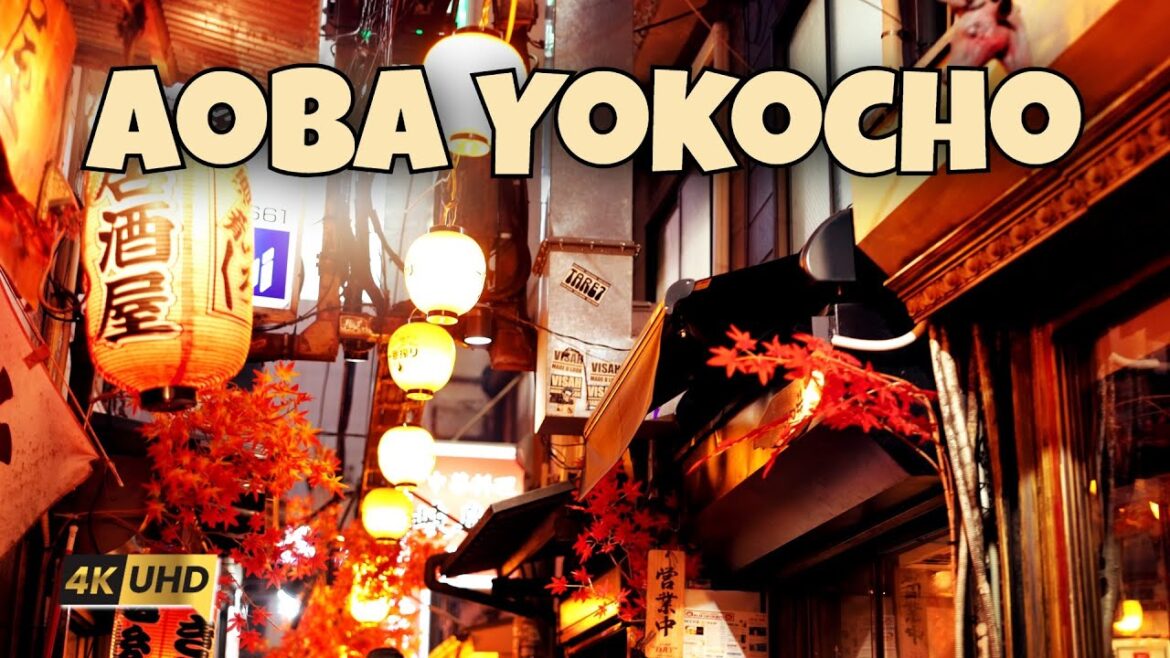青葉おでん街　Discovering the Charm of Aoba Yokocho: Shizuoka’s Hidden Culinary Paradise