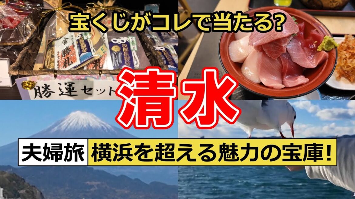 【静岡市清水区】横浜を超える魅力を持つ港町「清水」で美味しい魚と富士山クルーズを堪能！宝くじが当たるという勝運セットを購入してきました
