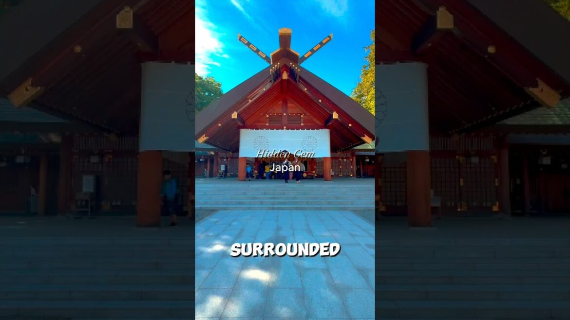 ‼️A must see in Japan‼️ “Hokkaido Shrine in 35s” 💎 ‼️A must see in Japan‼️ “Hokkaido Shrine in 35s” 💎