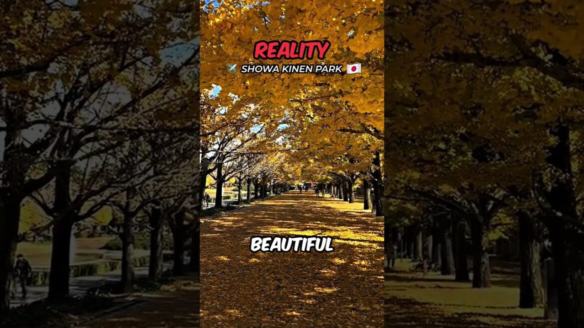 Wait for the Eerie End😨😱#shorts #travel #nature