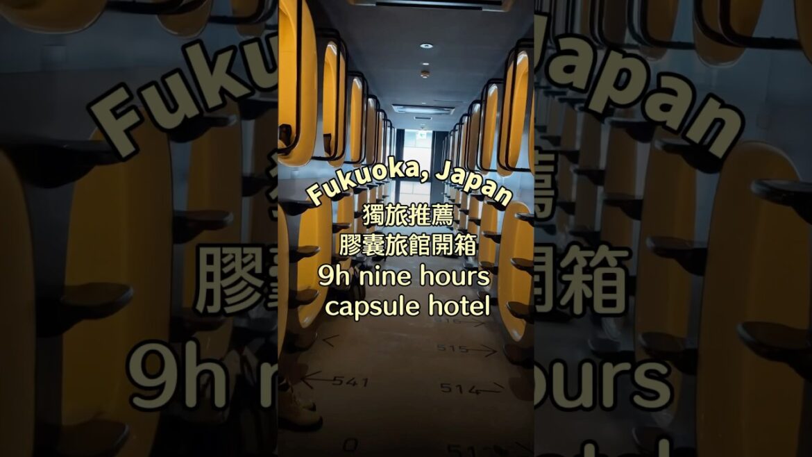 福岡住宿推薦🇯🇵每晚1000有找超便宜! 福岡住宿推薦🇯🇵每晚1000有找超便宜!